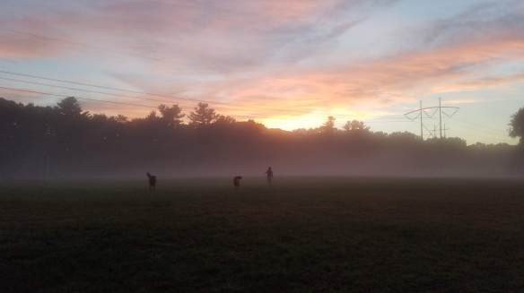 sunset-584×327-1