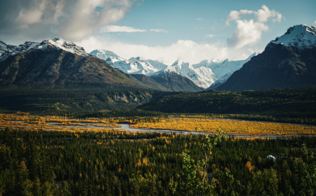 Alaskan landscape of forest and mountains.